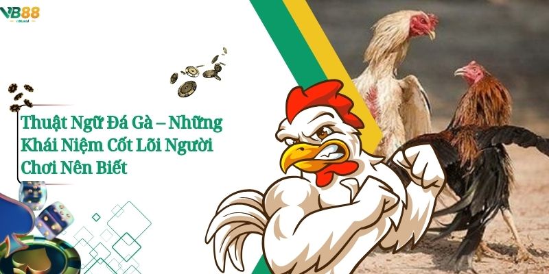 Thuật Ngữ Đá Gà – Những Khái Niệm Cốt Lõi Người Chơi Nên Biết 1 Thuật Ngữ Đá Gà – Những Khái Niệm Cốt Lõi Người Chơi Nên Biết