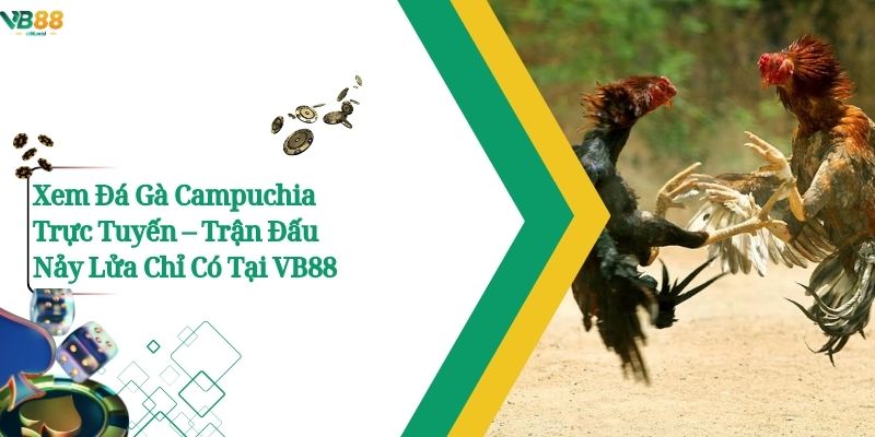 Xem Đá Gà Campuchia Trực Tuyến – Trận Đấu Nảy Lửa Chỉ Có Tại VB88 1 Xem Đá Gà Campuchia Trực Tuyến – Trận Đấu Nảy Lửa Chỉ Có Tại VB88