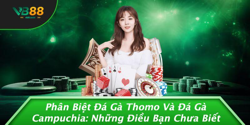 Phân Biệt Đá Gà Thomo Và Đá Gà Campuchia: Những Điều Bạn Chưa Biết 1 Phân Biệt Đá Gà Thomo Và Đá Gà Campuchia: Những Điều Bạn Chưa Biết